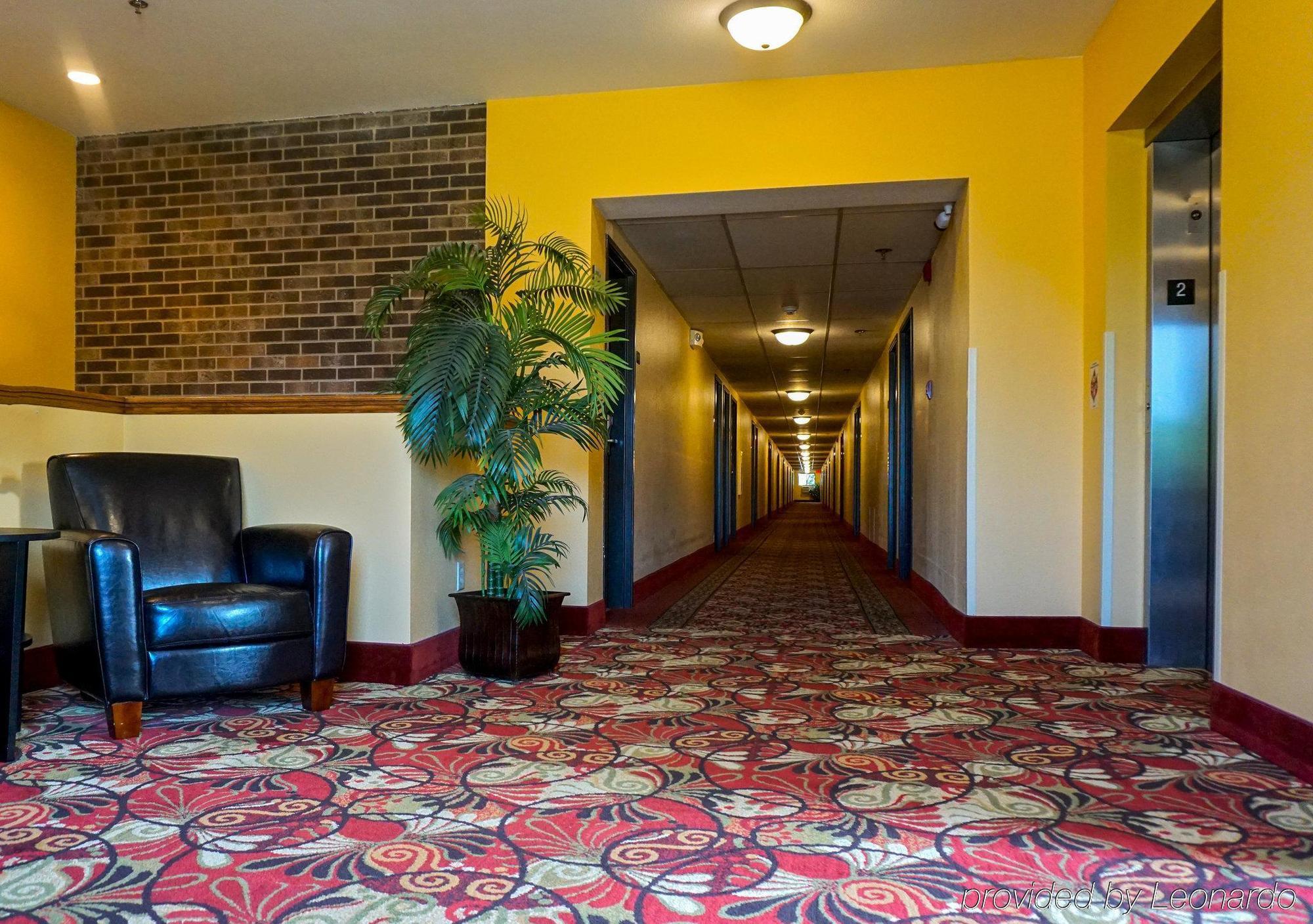 Econo Lodge Mayo Clinic Area Ρότσεστερ Εξωτερικό φωτογραφία